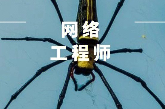 网络工程师.[爱心]【软考中级职称】[胜利][胜利][胜
