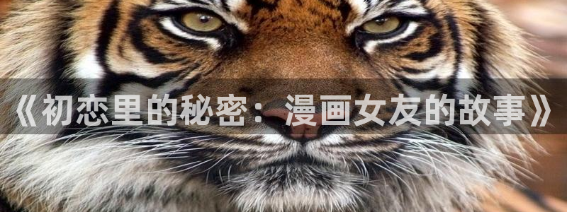 汗汗漫画樱花